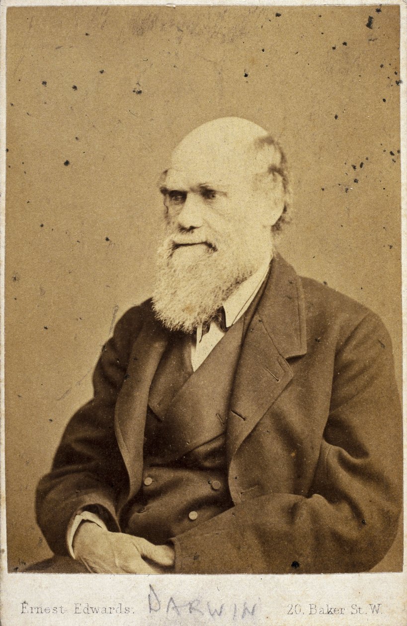 चार्ल्स डार्विन, अंग्रेजी प्रकृतिवादी, c 1870s द्वारा अज्ञात