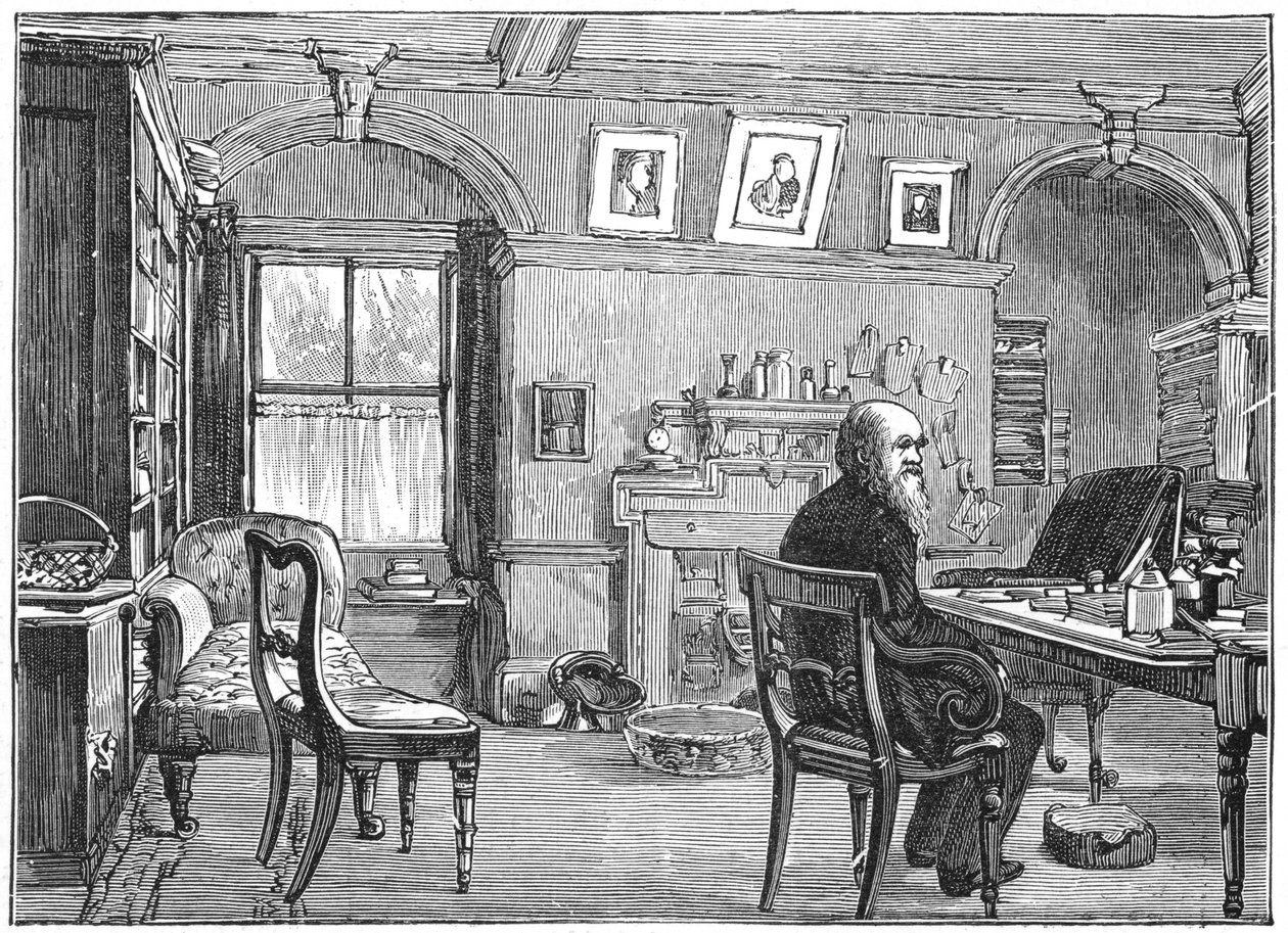चार्ल्स डार्विन, अंग्रेजी प्रकृतिवादी, अपने अध्ययन में, c1870 1887 द्वारा अज्ञात