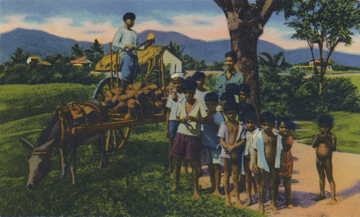 नारियल विक्रेता, त्रिनिदाद, BWI, c1940s। द्वारा अज्ञात