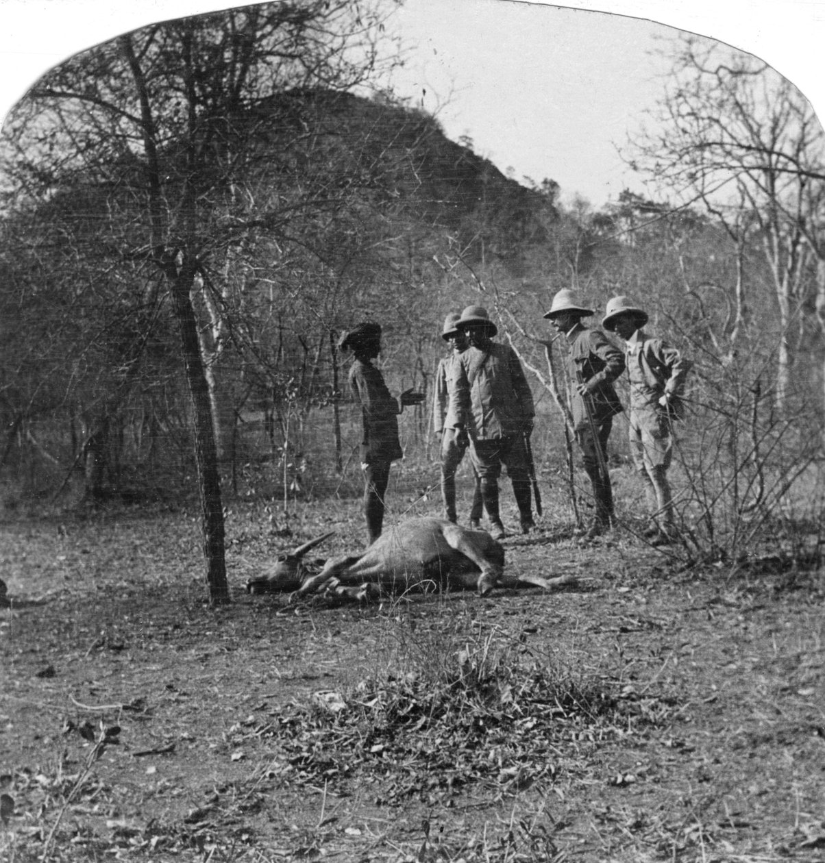 बाघ के शिकार पर कर्नल अफसरुल मुल्क, भारत, 1900 द्वारा अज्ञात