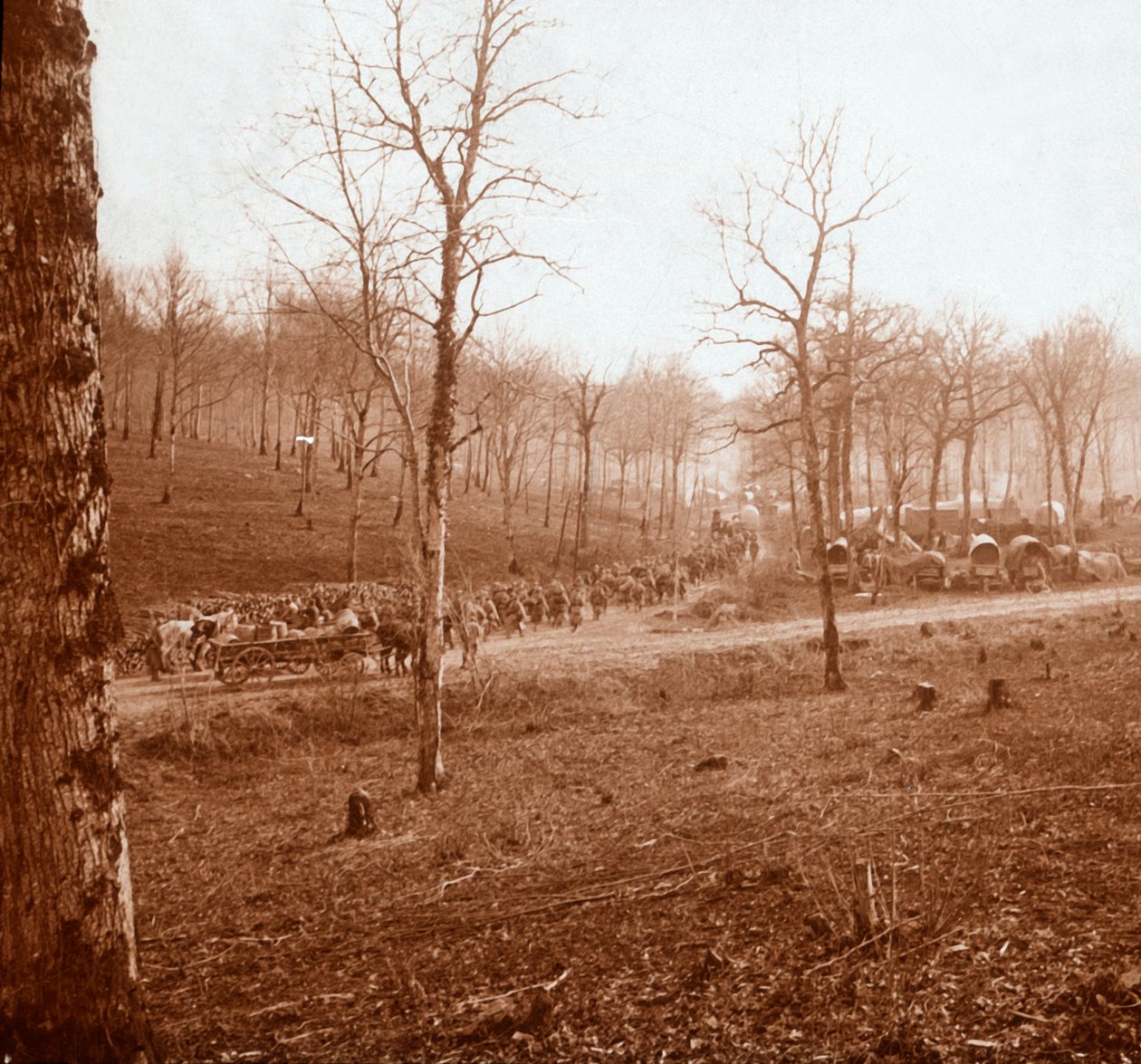 सैनिकों के स्तंभ, जेनेकोर्ट, उत्तरी फ्रांस, c1914-c1918 द्वारा अज्ञात