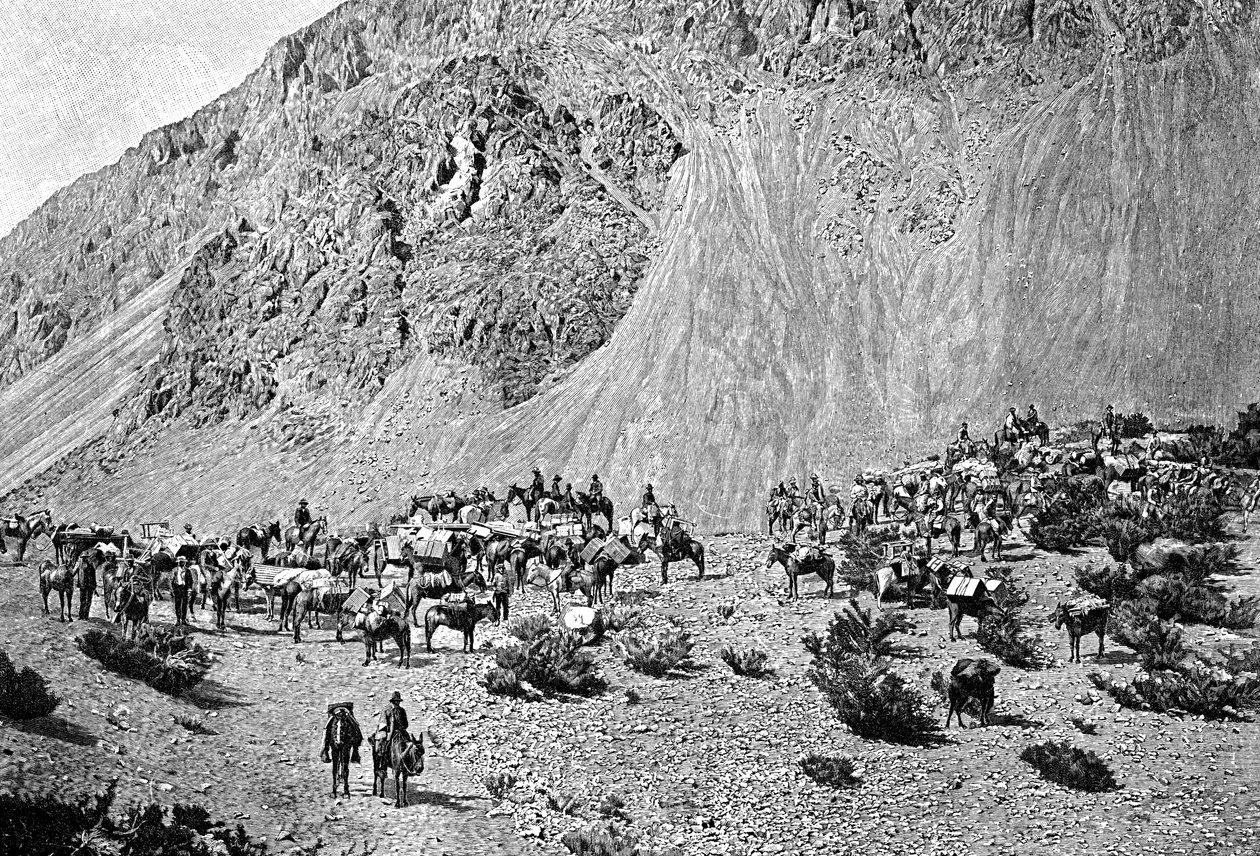 कॉर्डिलेरा, दक्षिण अमेरिका, 1895 के पैर पर म्यूएलेटर्स का काफिला द्वारा अज्ञात