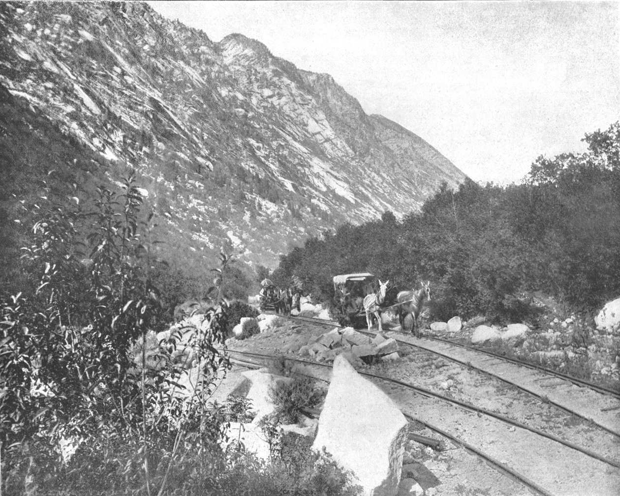 कॉटनवुड कैनियन, यूटा, यूएसए, c1900। द्वारा अज्ञात