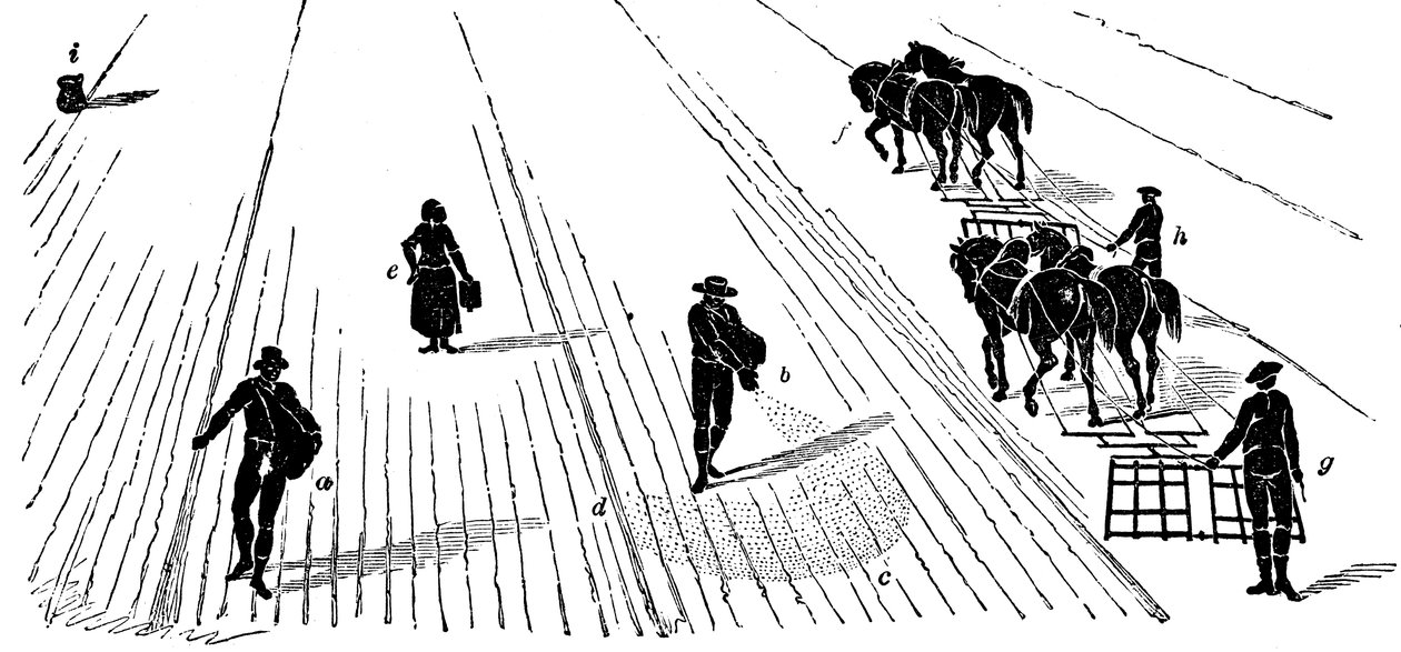 फसल का घूमना: बुवाई और हैरोइंग मकई, 1855 द्वारा अज्ञात