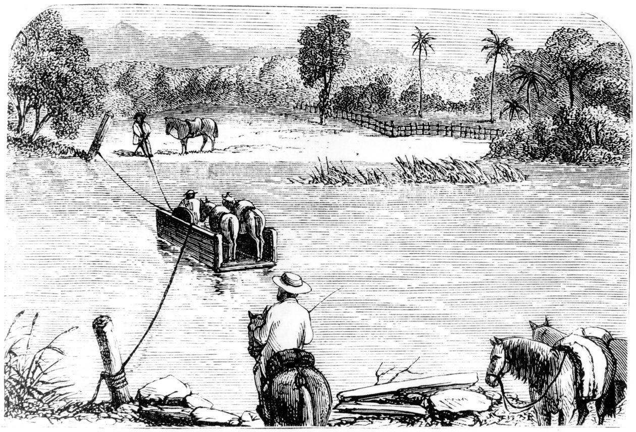 इसाबेला, सेंटो डोमिंगो को पार करते हुए, 1873 द्वारा अज्ञात