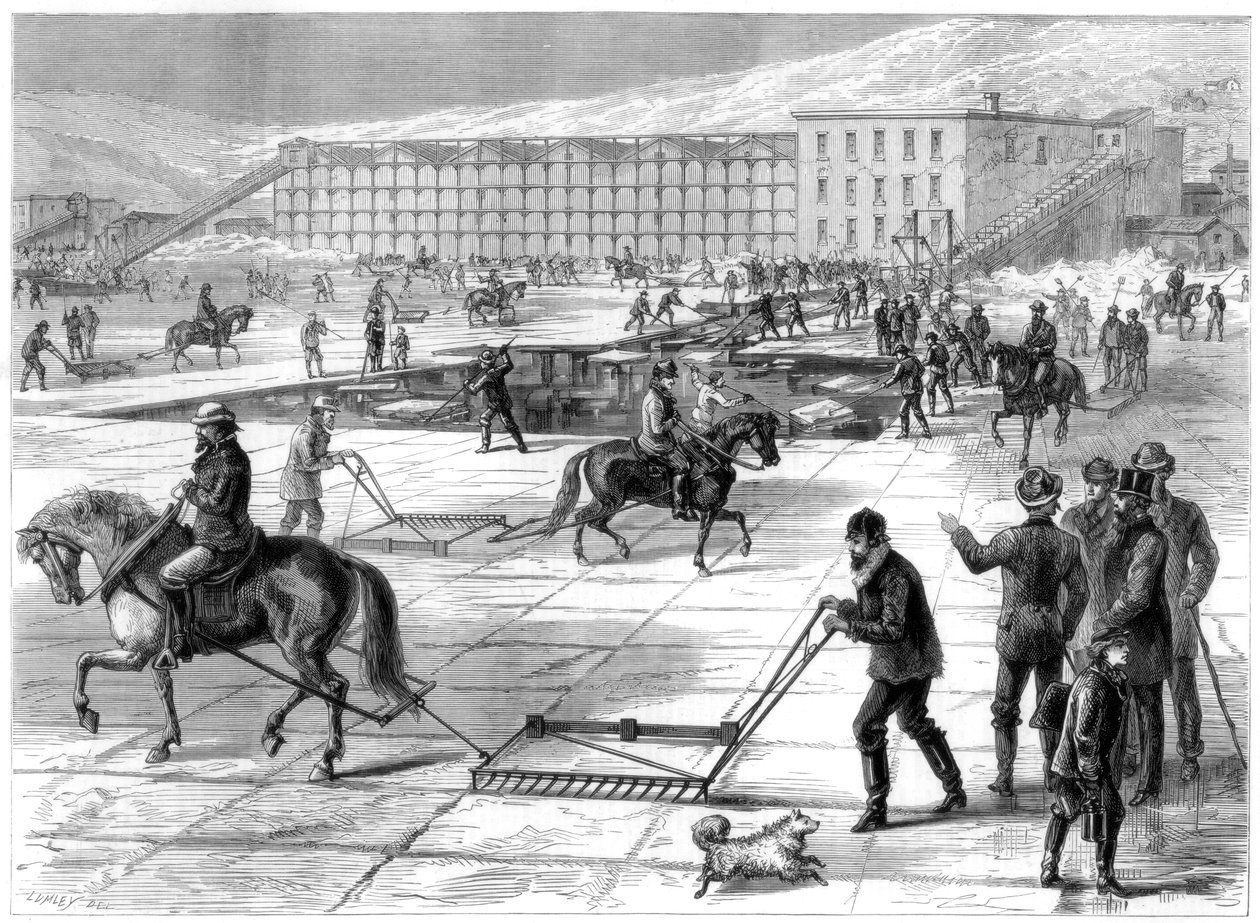 हडसन नदी, न्यूयॉर्क, संयुक्त राज्य अमेरिका, 1875 पर बर्फ को काटना और संग्रहीत करना द्वारा अज्ञात