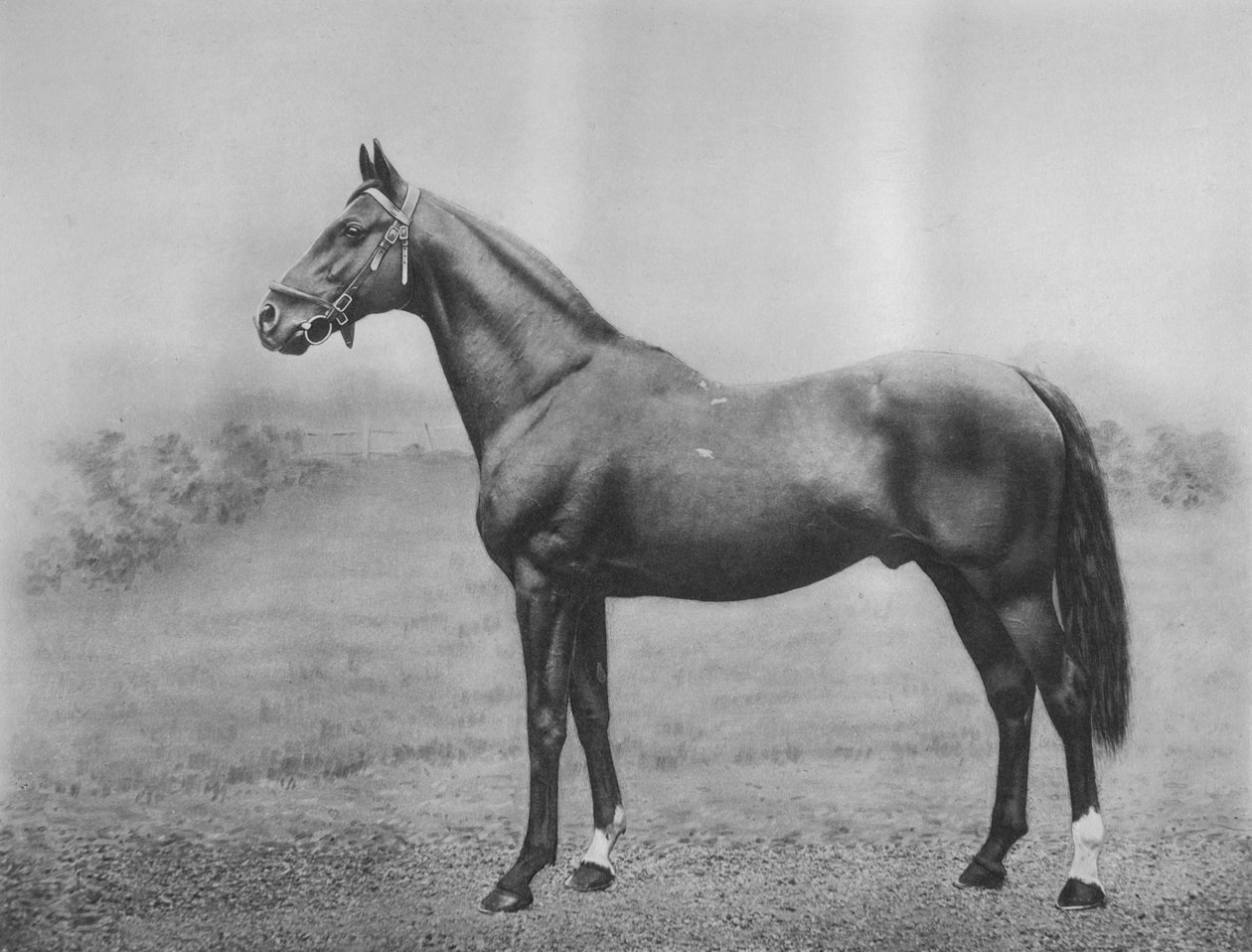 Cyllene 1911 द्वारा अज्ञात
