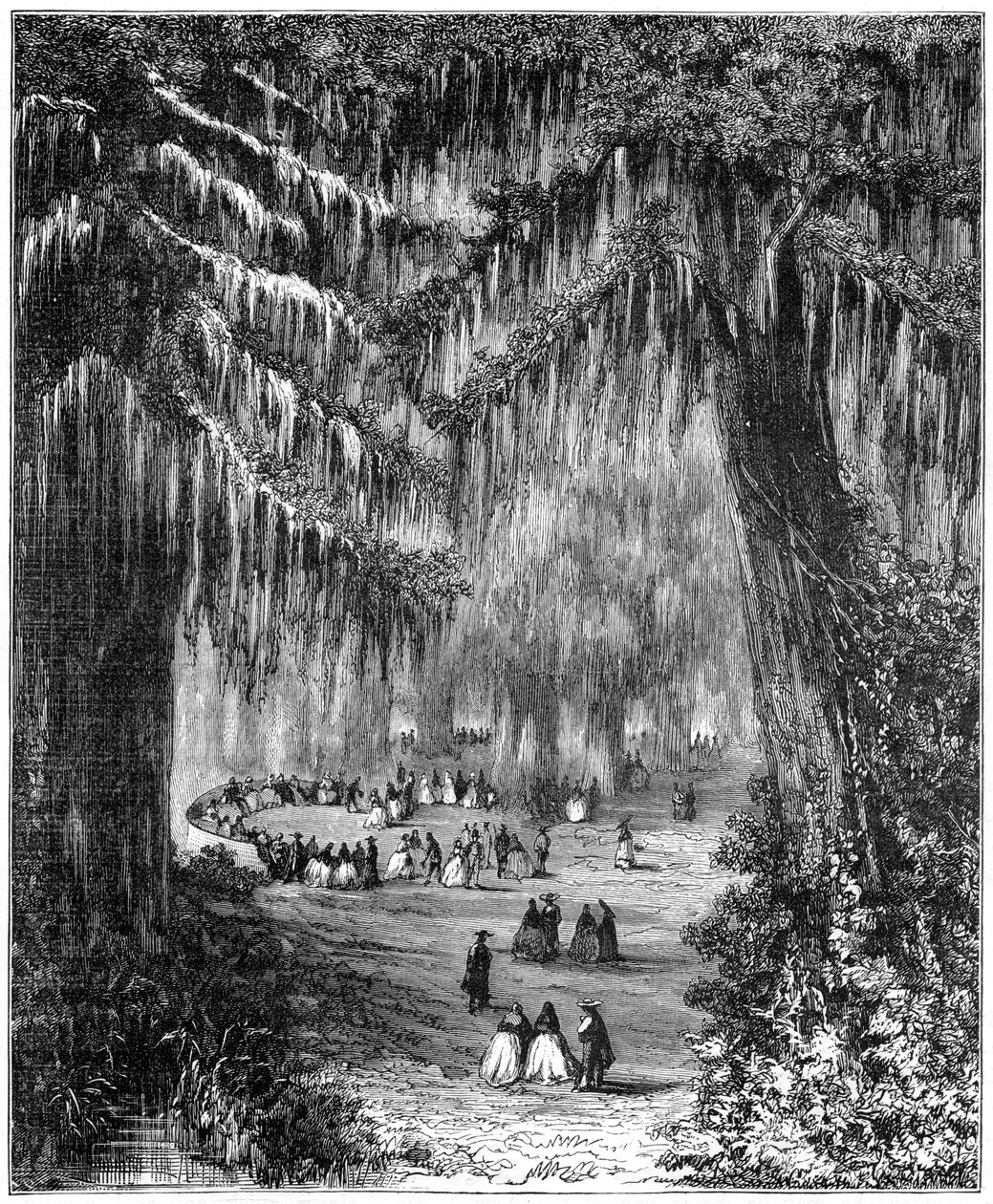 साइप्रेस ने मैक्सिको सिटी, 1877 में चापल्टेपेक में ग्रोव किया द्वारा अज्ञात