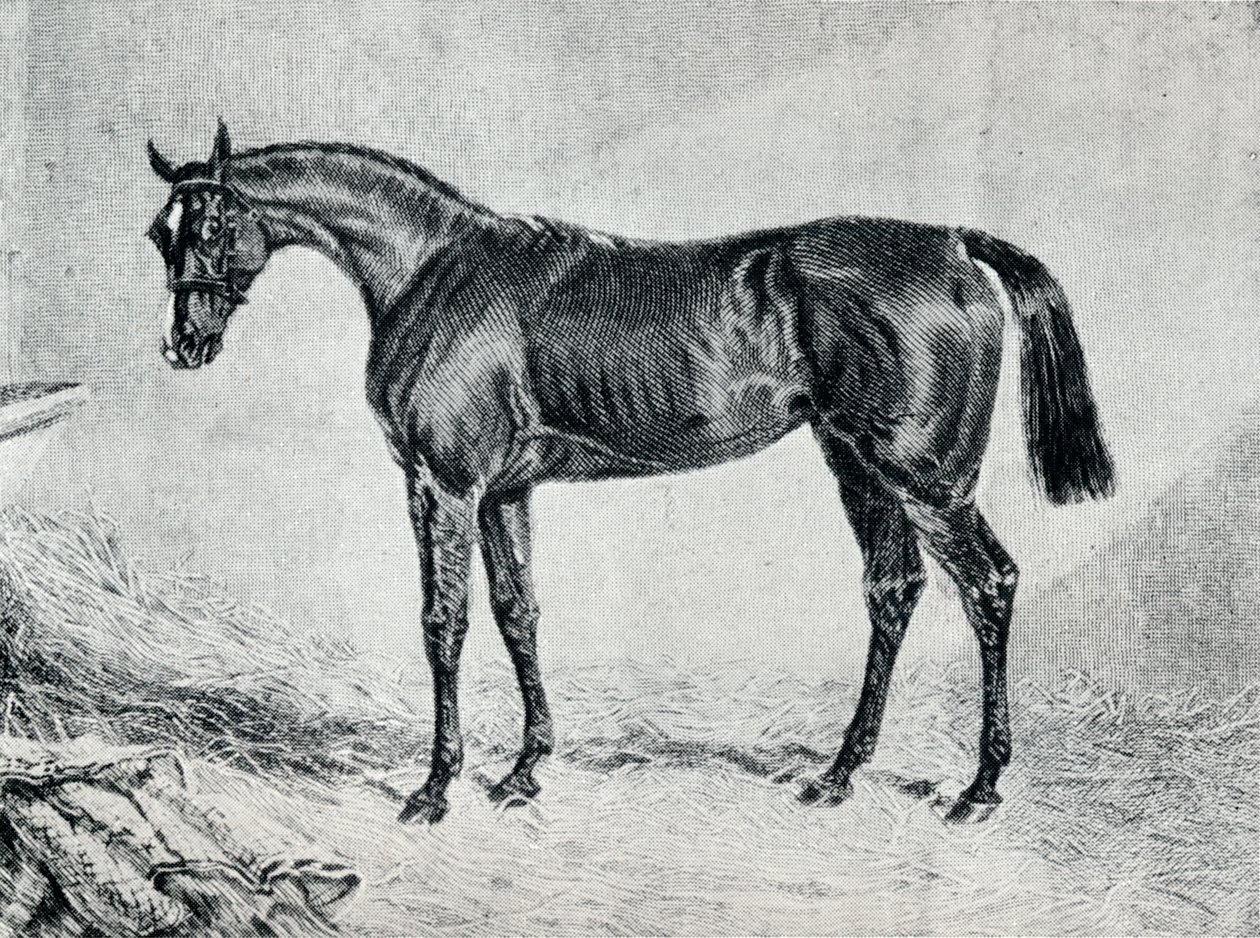 साइप्रियन, 19 वीं सदी, 1911 द्वारा अज्ञात