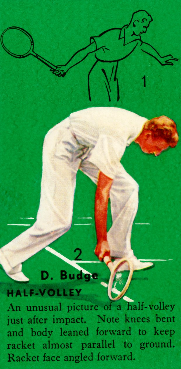डी। बुडगे - हॉफ-वॉली, c1935। द्वारा अज्ञात