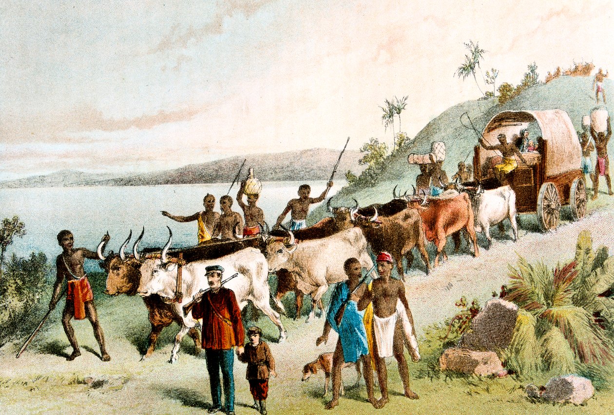 डेविड लिविंगस्टोन, स्कॉटिश मिशनरी और अफ्रीकी खोजकर्ता, 1849 c1878 द्वारा अज्ञात