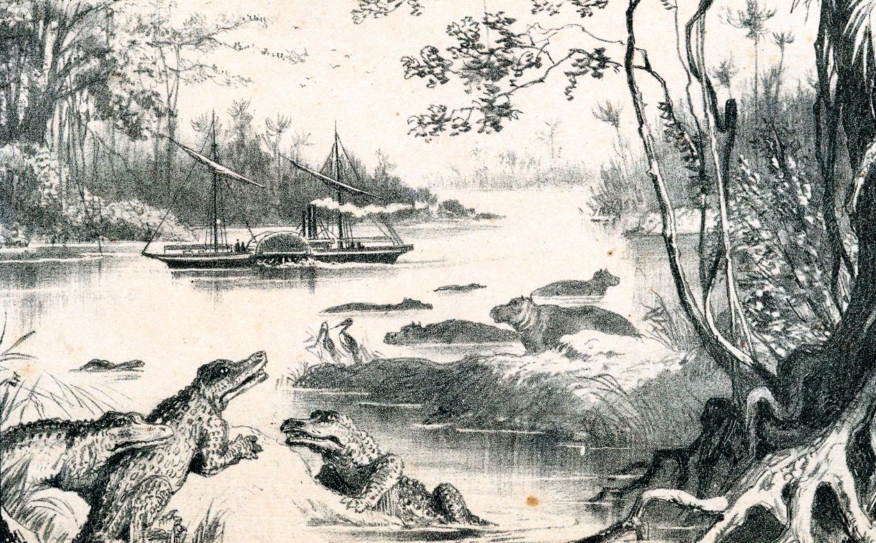 डेविड लिविंगस्टोन ने ज़ाम्बज़ी, अफ्रीका, 1852-1864 c1878 को नेविगेट किया द्वारा अज्ञात