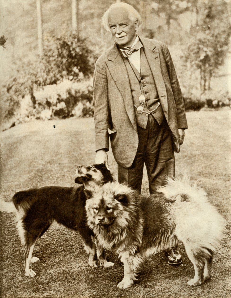 डेविड लॉयड जॉर्ज, 1935। द्वारा अज्ञात