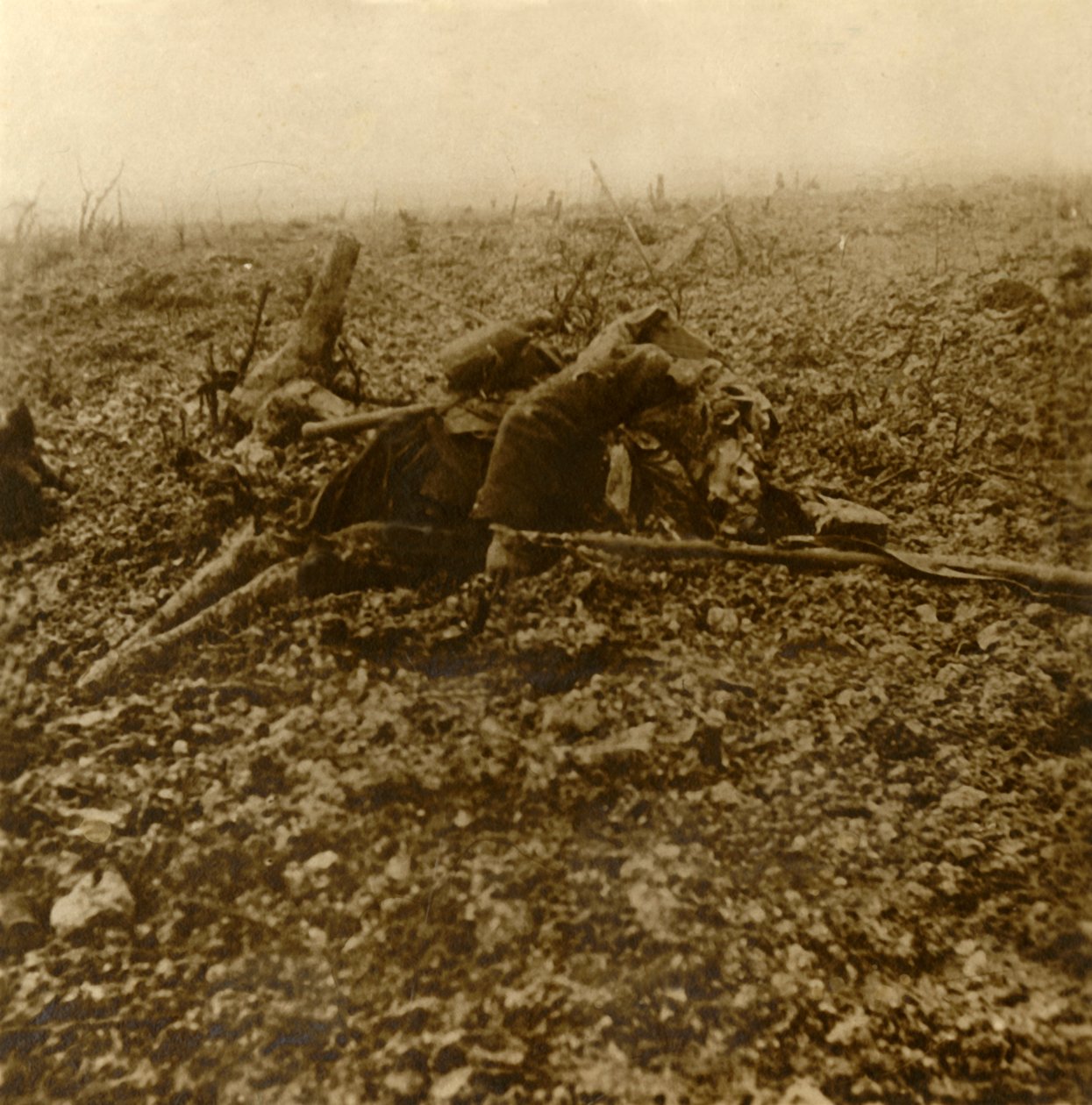 उत्तरी फ्रांस, 1916 के वर्दुन की लड़ाई के बाद हिल 304 पर मृत सैनिक द्वारा अज्ञात
