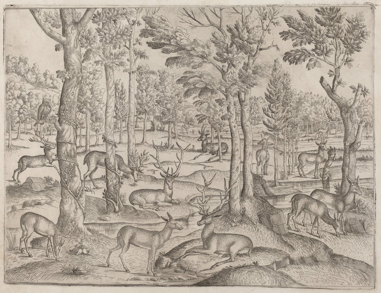 जंगल में हिरण, सी. 1520. द्वारा अज्ञात
