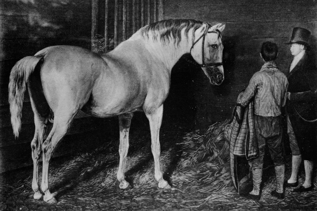 डेल्पीनी और स्केलेर कैसल के स्क्वेयर व्हार्टन, c18 वीं शताब्दी, 1911 द्वारा अज्ञात