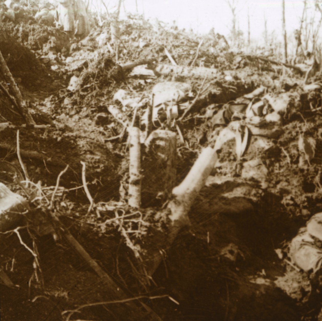 नष्ट किया गया आश्रय, लेस gesपारेज, उत्तरी फ्रांस, 1915। द्वारा अज्ञात