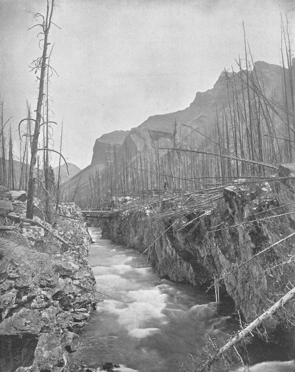 डेविल्स कैनियन, बानफ, उत्तर पश्चिम क्षेत्र, कनाडा, c1900। द्वारा अज्ञात