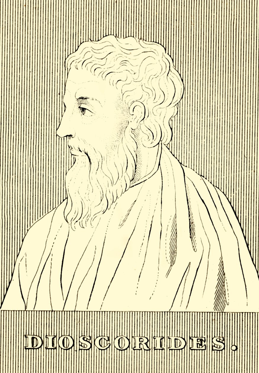 Dioscorides, c40-90 ई, 1830। द्वारा अज्ञात