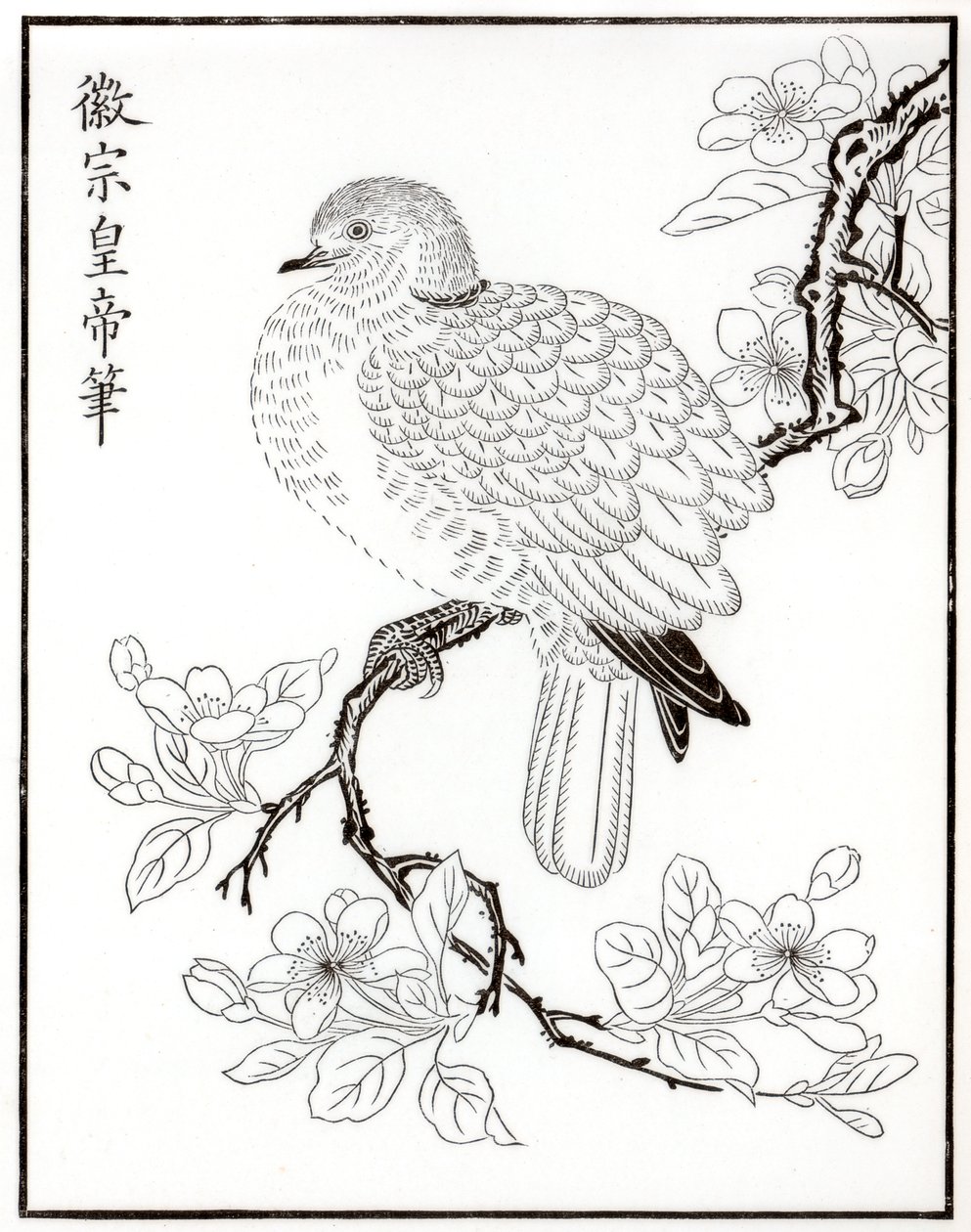 जहां, 1886 द्वारा अज्ञात