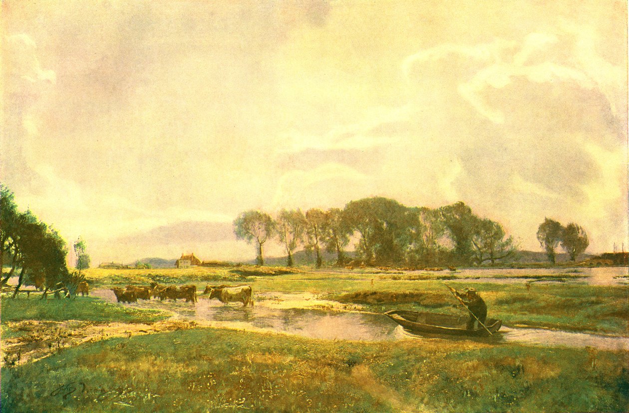 गायों, हैम्पशायर, 1892, c1902 ड्राइविंग। द्वारा अज्ञात