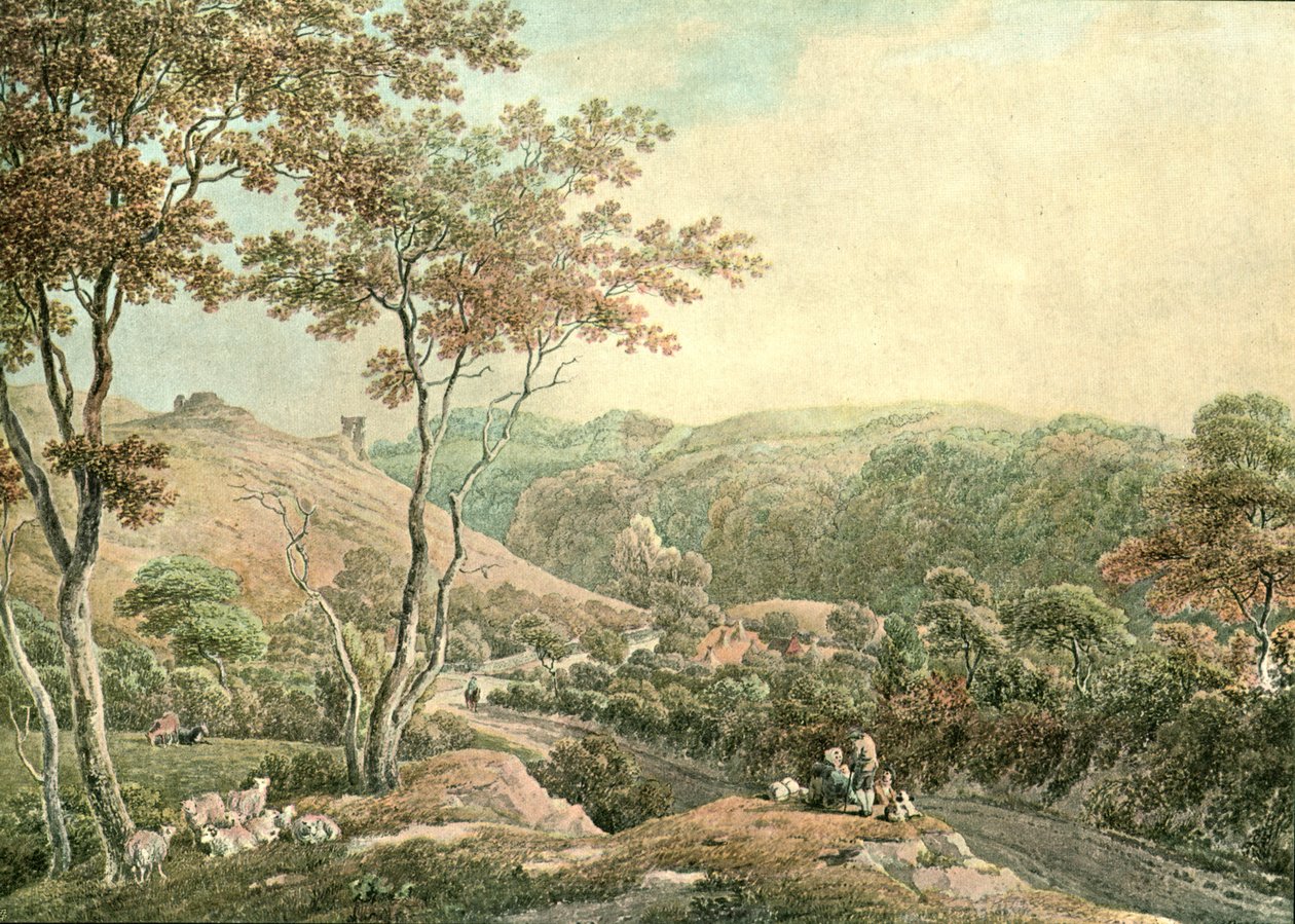 Drusllwyn Castle, Caermarthenshire, c1900। द्वारा अज्ञात