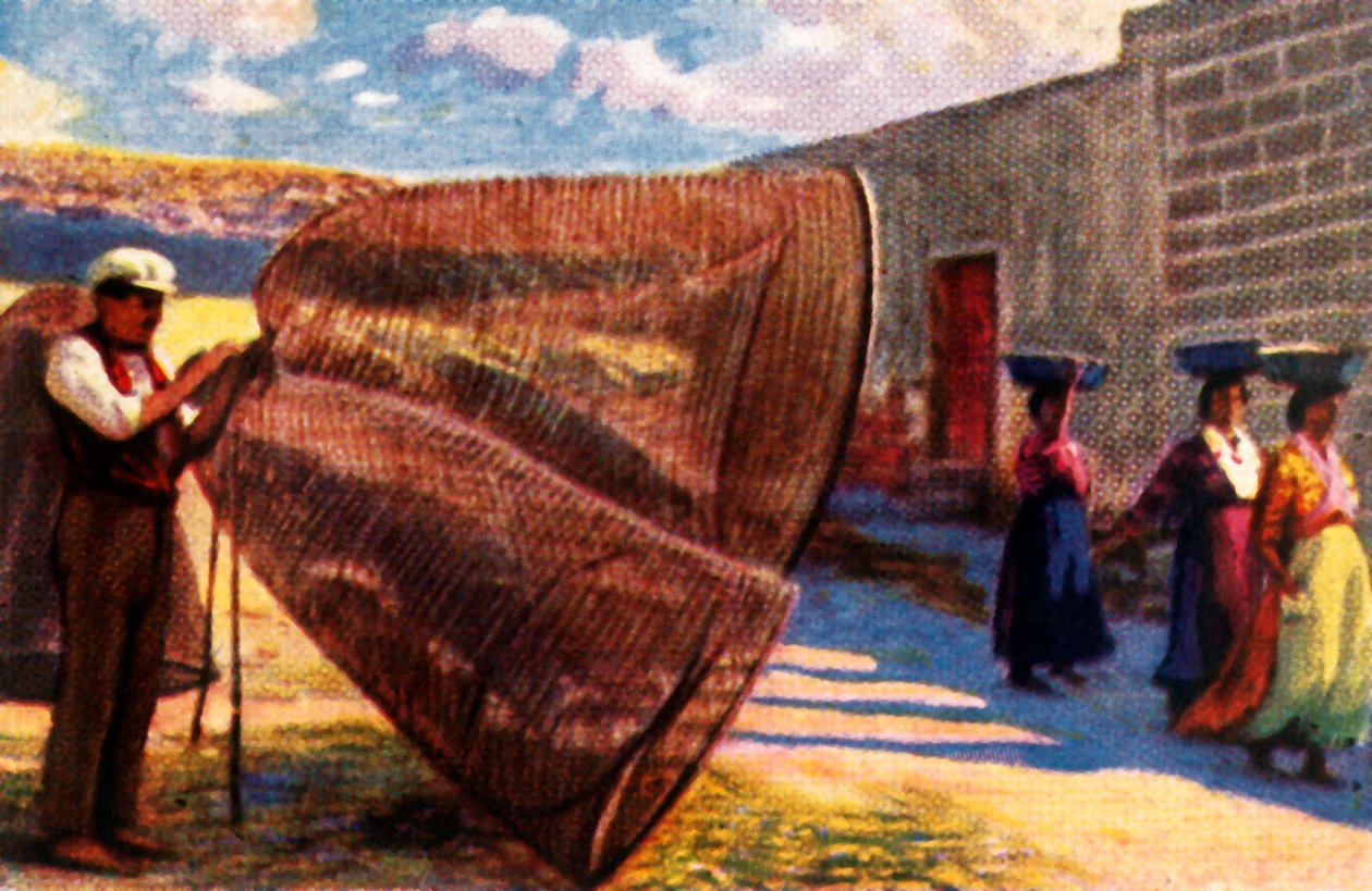 जाल बिछाना, माल्टा, c1928। द्वारा अज्ञात