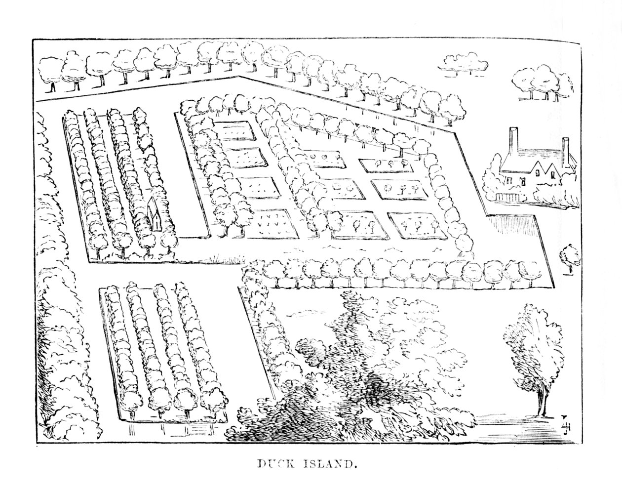 बतख द्वीप, c1870 द्वारा अज्ञात