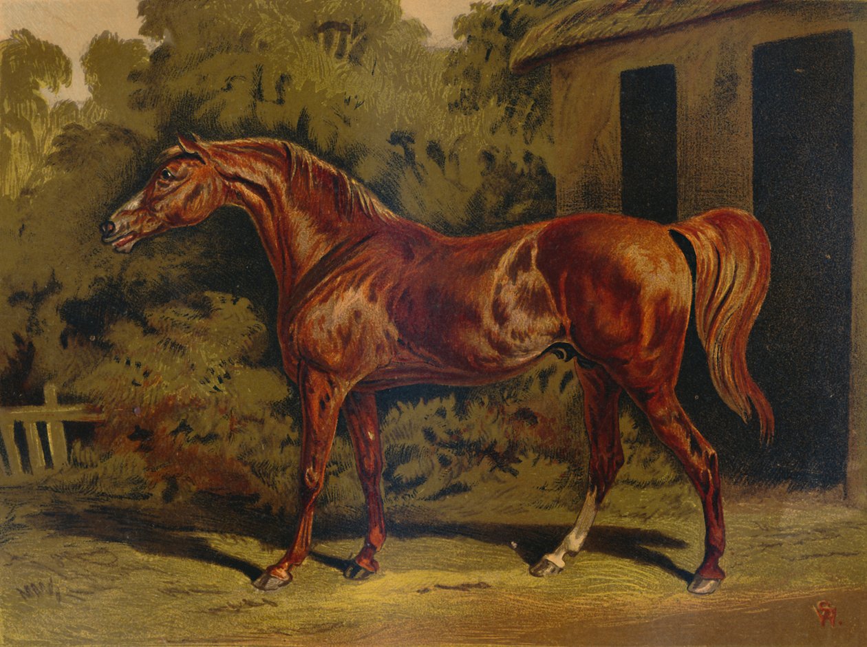 ग्रहण, c1879 द्वारा अज्ञात