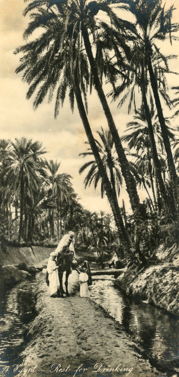 मिस्र - पीने के लिए आराम, c1918-c1939। द्वारा अज्ञात