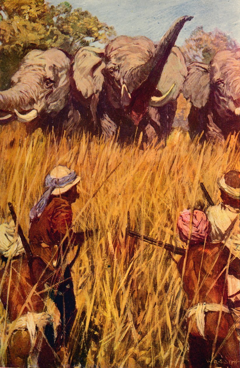 चेस में हाथी, c1850 c1912 द्वारा अज्ञात