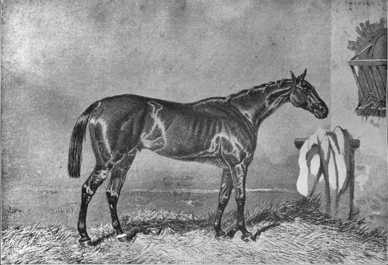 एलिंगटन, 1853-1870, 1911 द्वारा अज्ञात