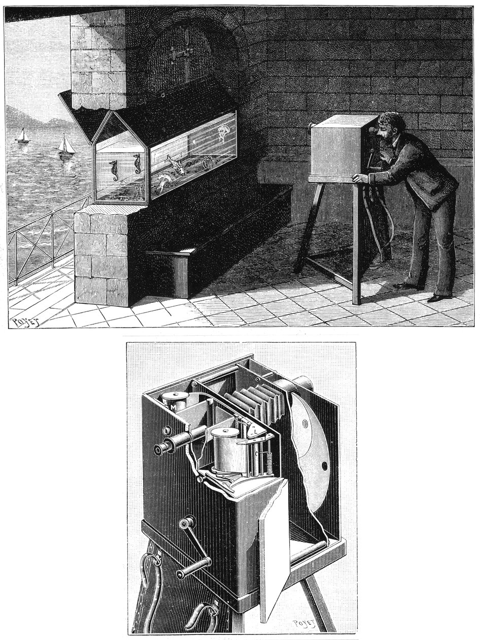 एटिने जूल्स मारे 1830-1903, सिने कैमरा, 1903 के साथ द्वारा अज्ञात