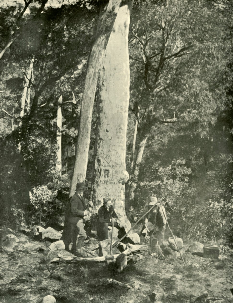 यूरोबिन फॉल्स, बफ़ेलो पर्वत, 1901। द्वारा अज्ञात