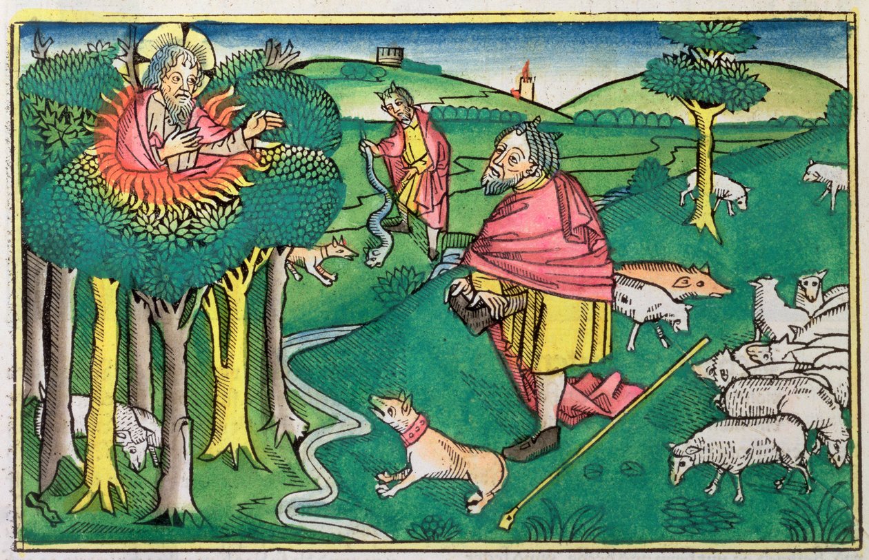 निर्गमन 3:1-22 और 4:1-4: जलती हुई झाड़ी और परमेश्वर ने मूसा को चमत्कारी छड़ी से सुसज्जित किया द्वारा अज्ञात