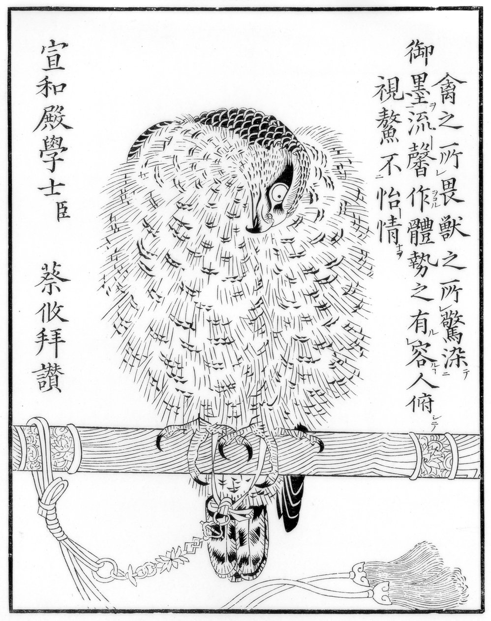 फाल्कन, 1886 द्वारा अज्ञात