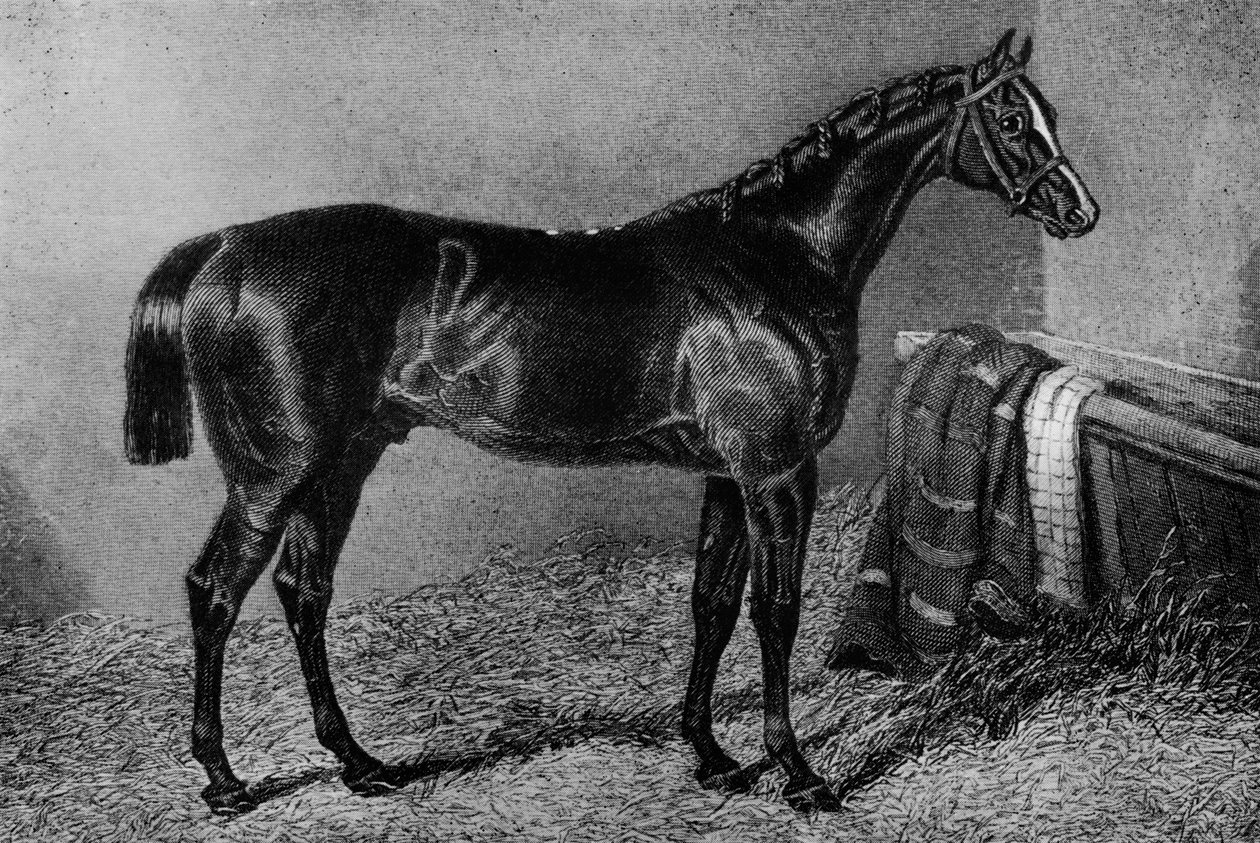 मदफुकर, 1812-1835, 1911 द्वारा अज्ञात