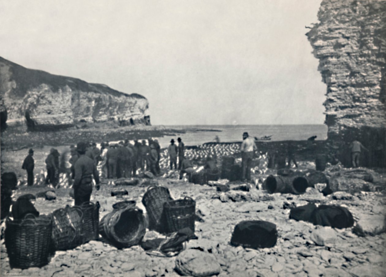 फ्लैमब्रो - द फिशरमेन एट वर्क, 1895 द्वारा अज्ञात