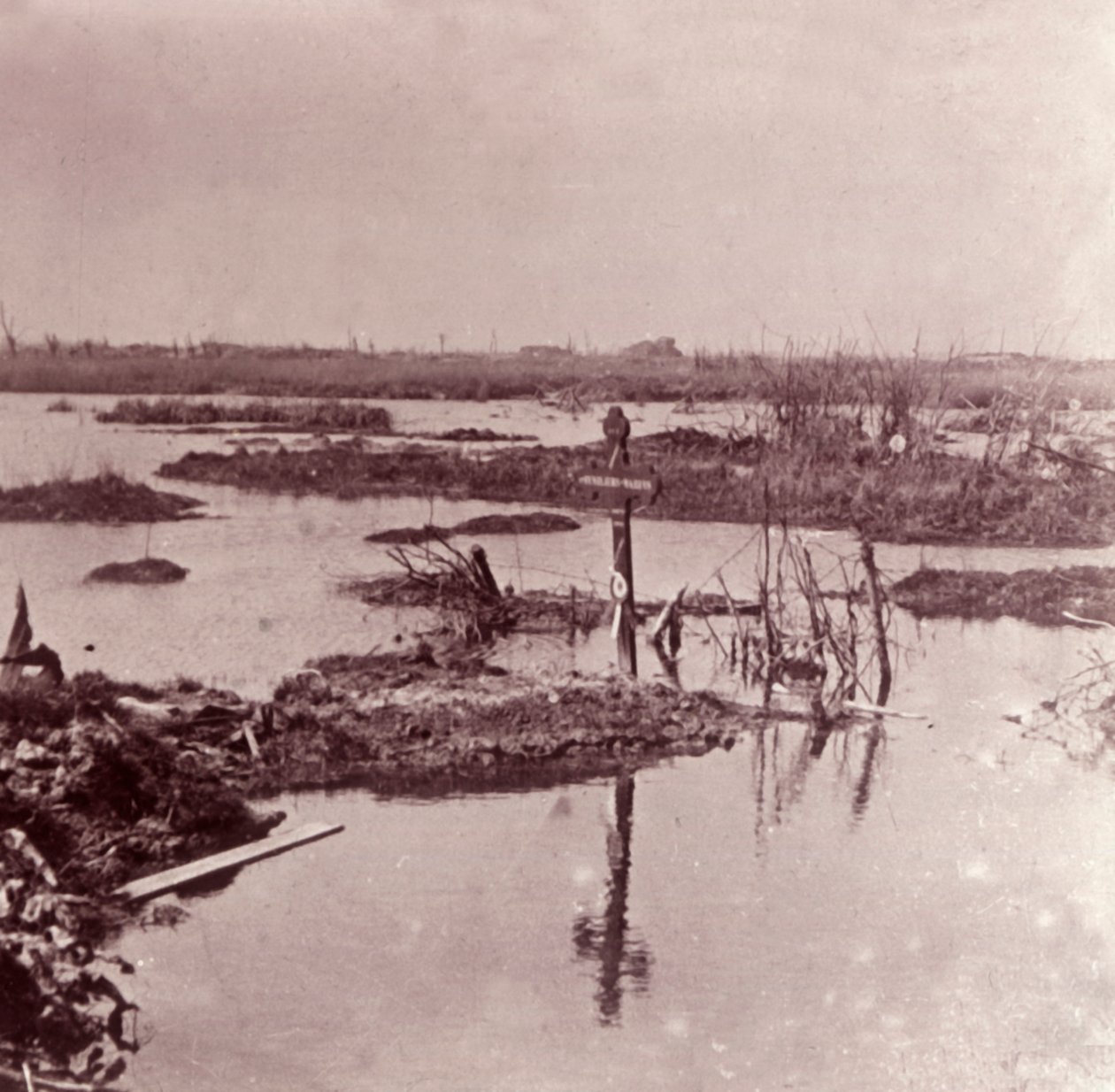 बाढ़, फ़्लैंडर्स, बेल्जियम, c1914-c1918 द्वारा अज्ञात