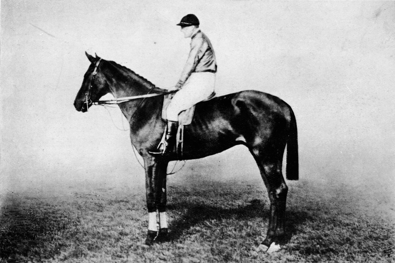 फ्लाइंग फॉक्स, 1896-1911, 1911 द्वारा अज्ञात