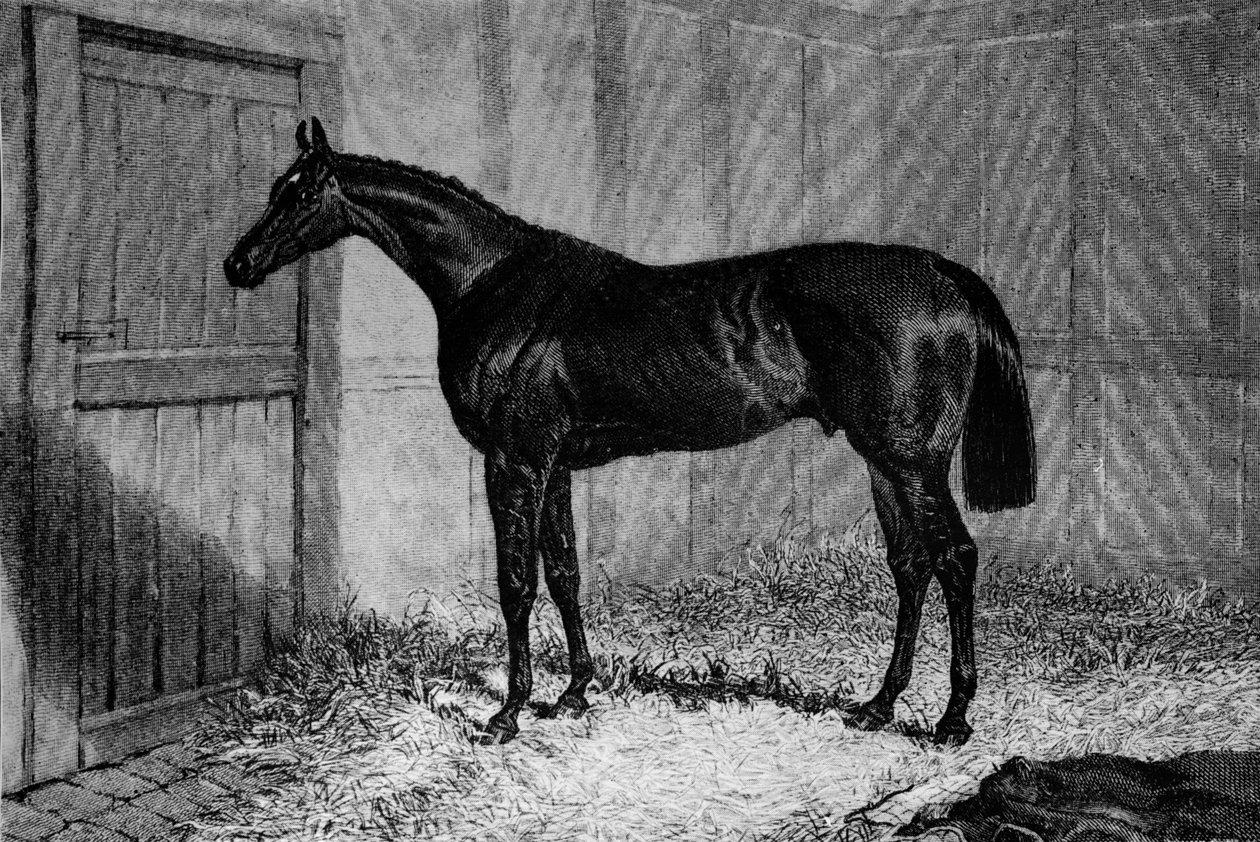 फोइग-ए-बलाघ, सी 1841-1860, 1911 द्वारा अज्ञात
