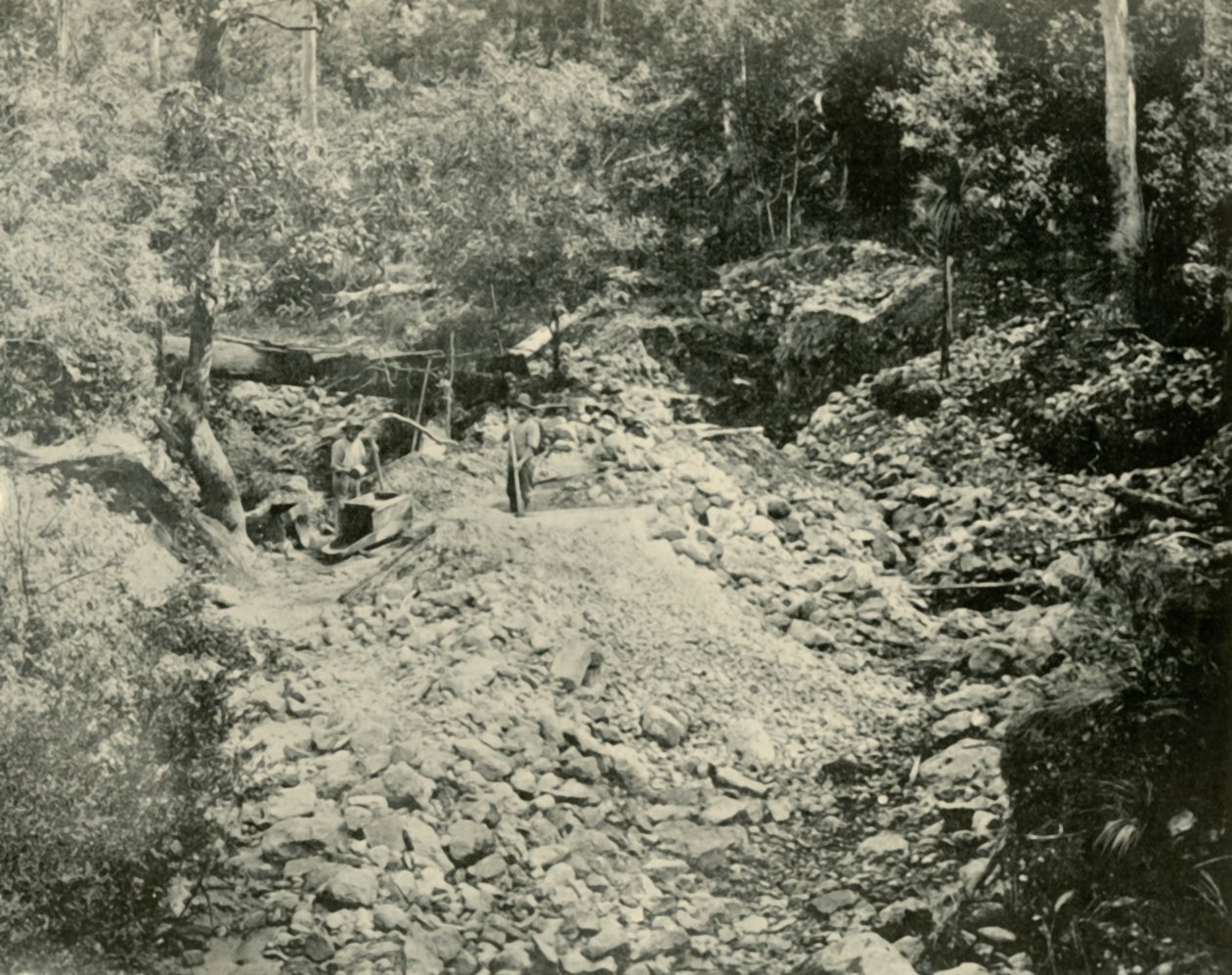 फोसिकर्स एट वर्क, 1901। द्वारा अज्ञात