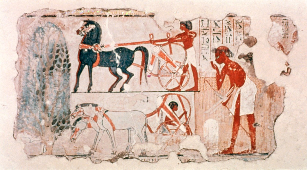प्राचीन मिस्र के चित्रित प्लास्टर फसल के खाते का चित्रण करते हुए, c1400 ई.पू. द्वारा अज्ञात