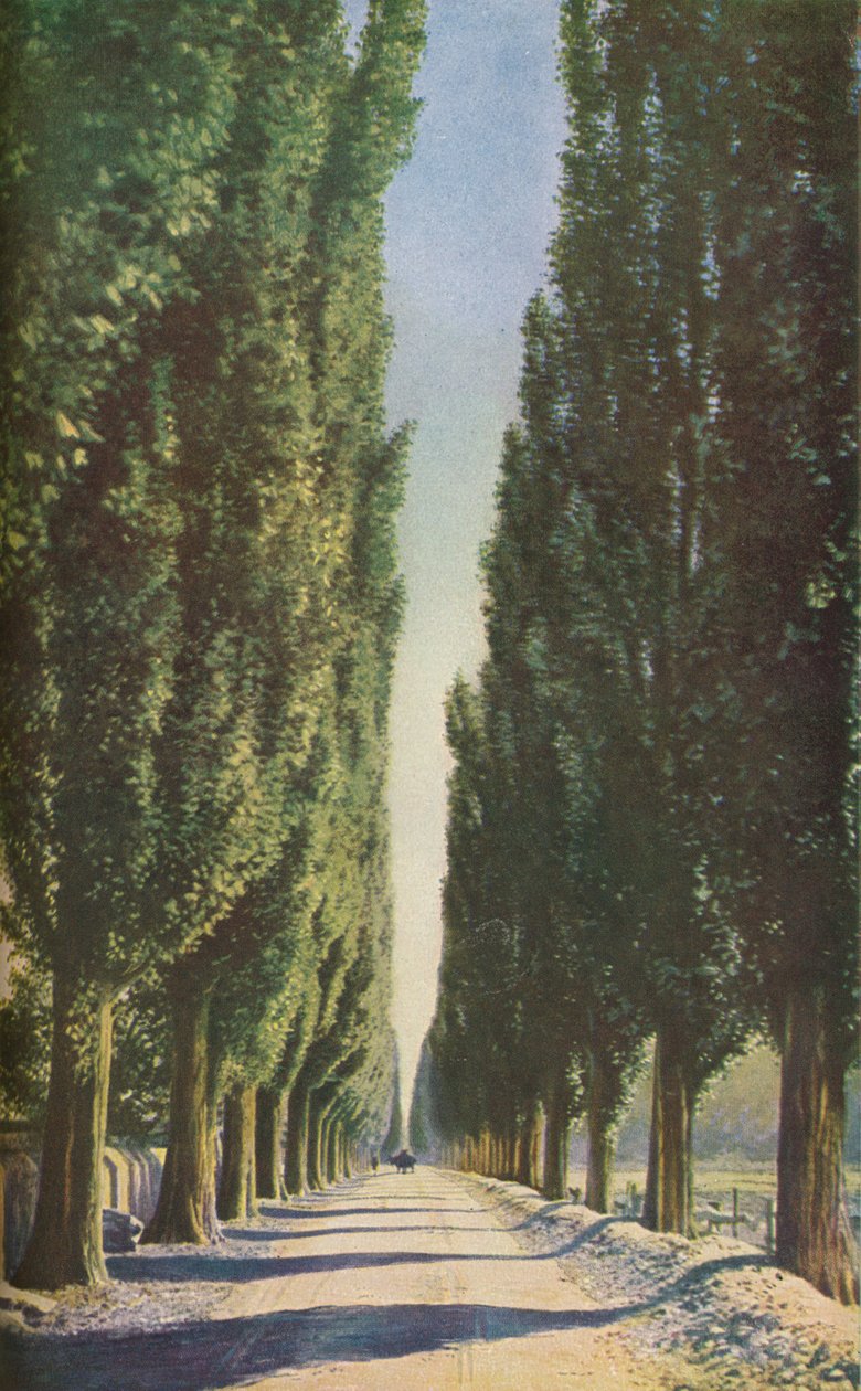 फ्रांस, c1930s द्वारा अज्ञात