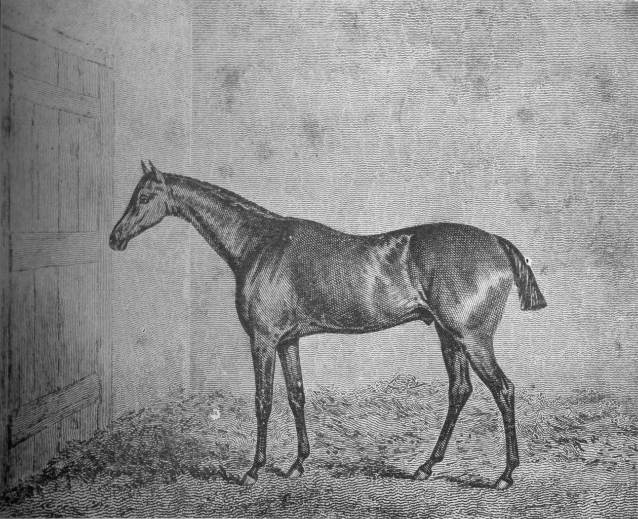 फ्रेडरिक, 1826-1837, 1911 द्वारा अज्ञात