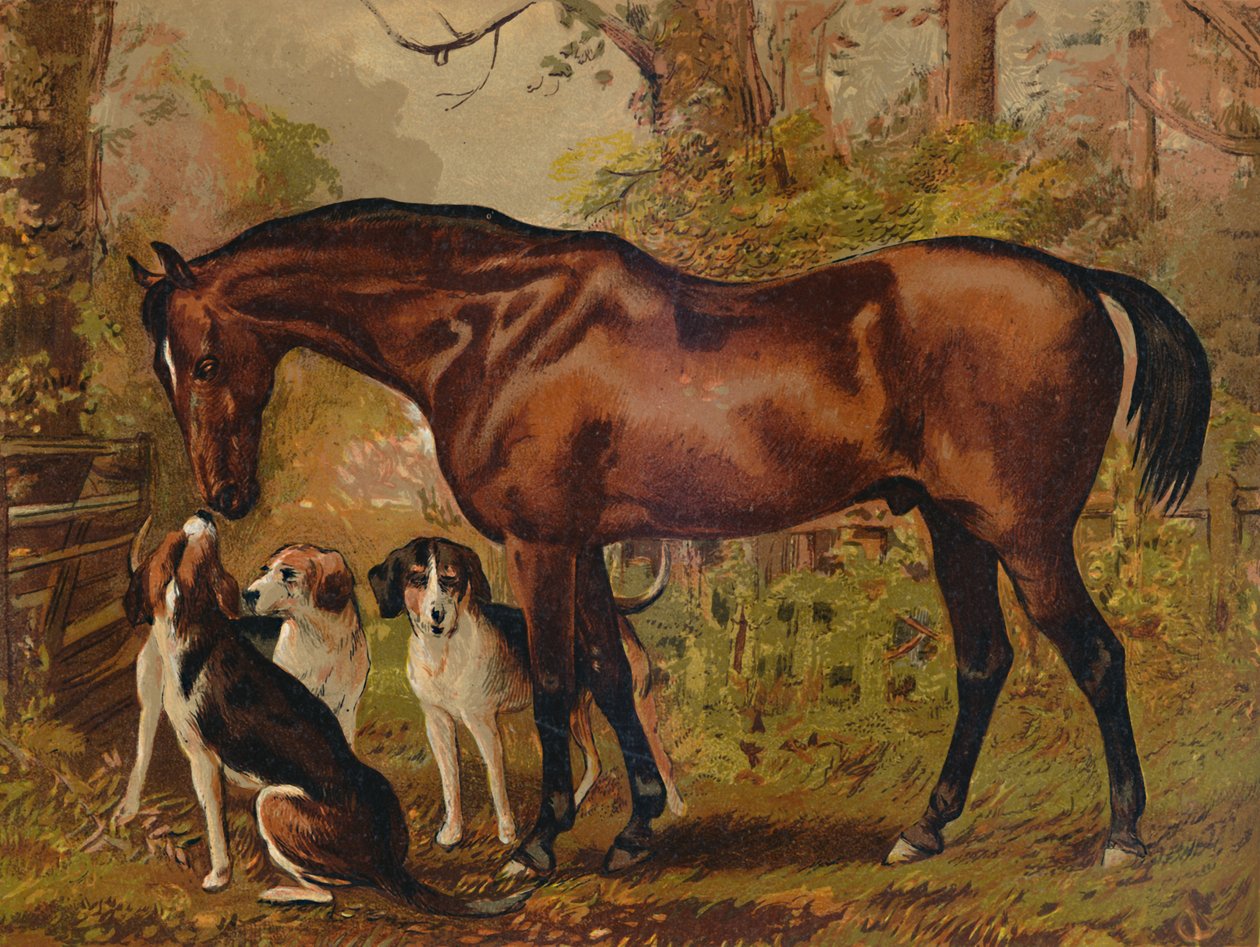 फ्रीमेसन - फेवरेट हंटर ऑफ द लेट ह्यूगो मेनेल इनग्राम एस्क।, c1879। द्वारा अज्ञात