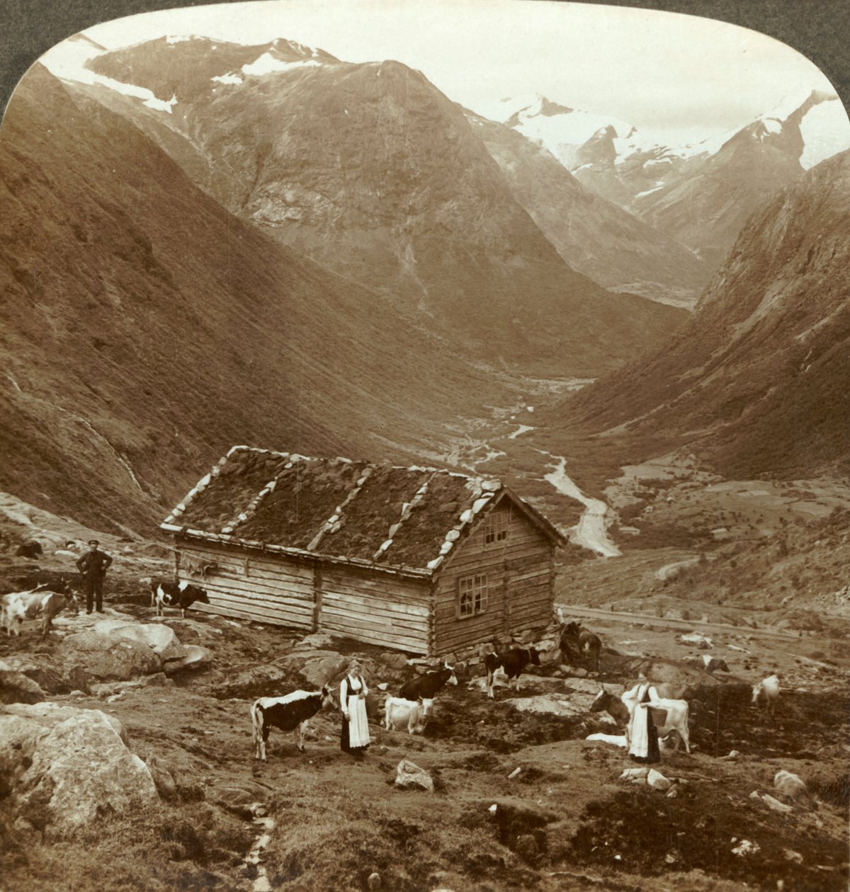 Vidde घाटी में पर्वत सराय से Vidde घाटी नीचे - माउंट। Skaala सही दूरी में, c1905। द्वारा अज्ञात