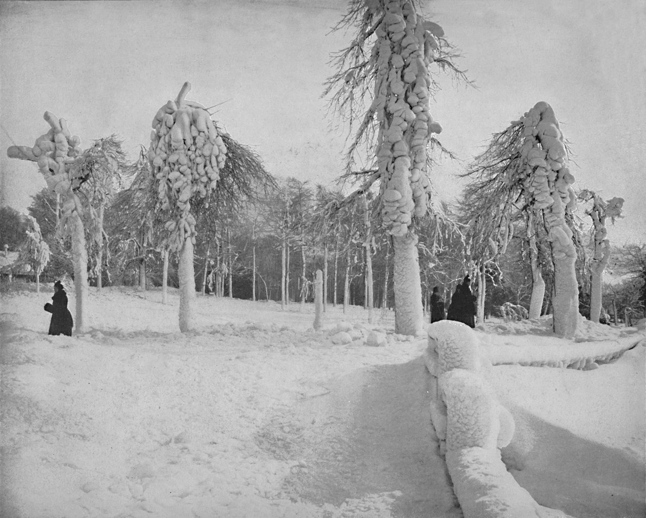फ्रॉस्ट वर्क इन प्रोस्पेक्ट पार्क, नियाग्रा, सी 1897। द्वारा अज्ञात