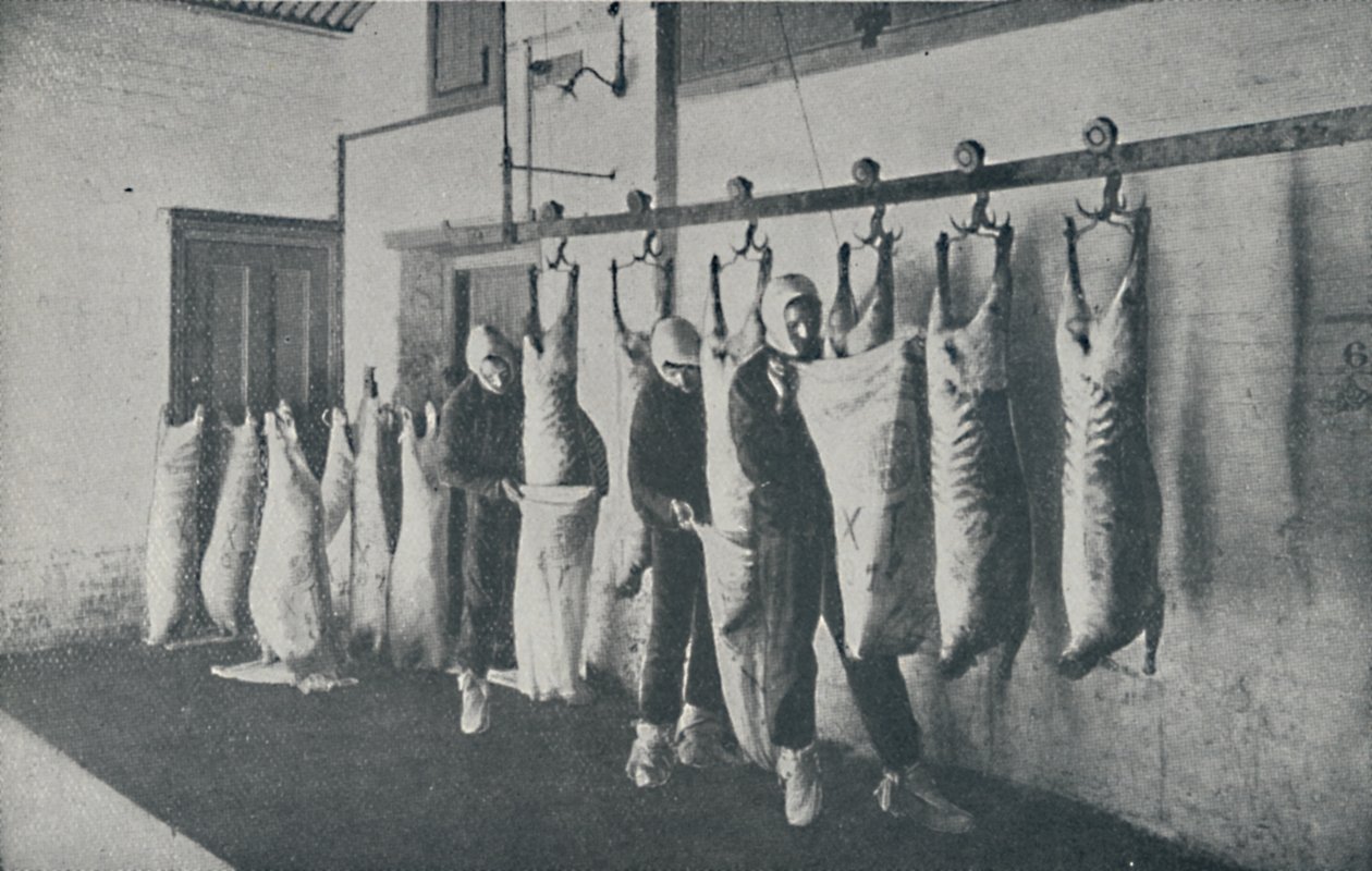 फ्रोजन मीट, 1910 द्वारा अज्ञात