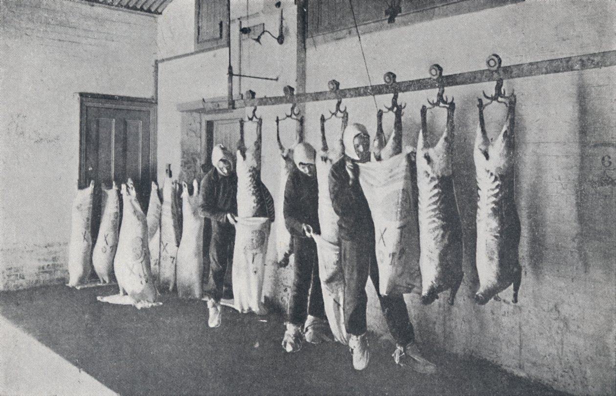 फ्रोज़न मीट, 1923। द्वारा अज्ञात